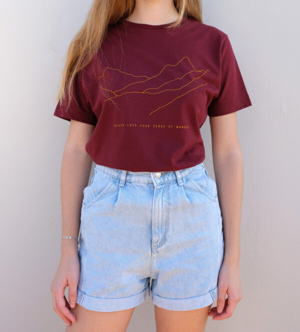 Photographic Diaries Vol.0 / Burgundy - Image 2